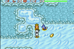 screenshots/Game Boy Advance/Pokemon Mystery Dungeon - Red - Blue - Rescue Team/Pokemon Mystery Dungeon - Red Rescue Team (Eng) 045.png